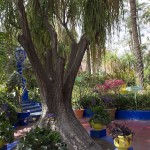 Ogrody w Marrakeszu