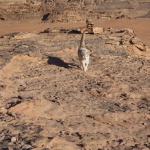 Ruiny domu Lawrenca z Arabii