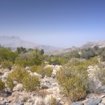 W4 - czyli idziemy na Jabal Shams 2980 m n.p.m.