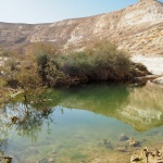 Koryto rzeki okresowej Nahal Akev