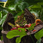Sanktuarium Motyli