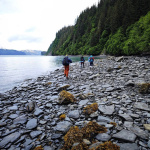 Park Narodowy Kenaji Fjords