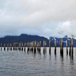 Park Narodowy Kenaji Fjords