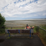 Tony Knowles Coastal Trail