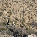 Trekking do Callosa de Segura