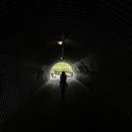 Tony Knowles Coastal Trail