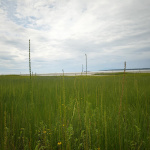 Tony Knowles Coastal Trail