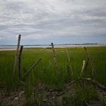 Tony Knowles Coastal Trail