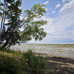 Tony Knowles Coastal Trail