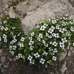 Szlak do Hidden Lake