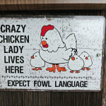 Crazy Chicken