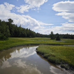 Tony Knowles Coastal Trail