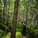 Tony Knowles Coastal Trail