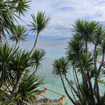 Wyspa Cebu