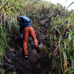 Trasa na Mt. Apo