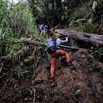 Trasa na Mt. Apo