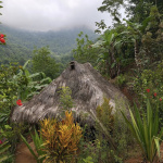 Trasa na Ciudad Perdida