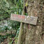Trasa na Ciudad Perdida