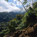 Ciudad Perdida