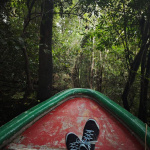 Amazonas
