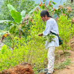 Trasa na Ciudad Perdida