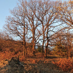 Na trasie z Lokorska