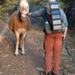 Na trasie z Lokorska