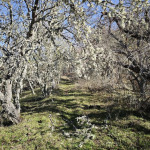 Na trasie z Lokorska