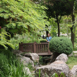 Ogród Japoński - Taszkent Ogród Japoński - Taszkent