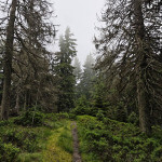 Trasa do Nezbudskiej Lúčki Trasa do Nezbudskiej Lúčki