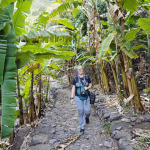 Wędrowczyni na kamiennej ścieżce prowadzącej przez gęstą plantację bananowców na Santo Antão 