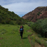 Trekking przez zieloną dolinę w górach Tien-Szan