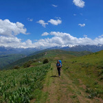 Trekking przez wysokogórskie łąki z panoramą Tien-Szanu w tle