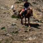 Jeździec na koniu w Górach Czatkalskich w Uzbekistanie