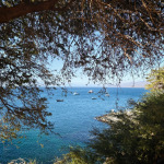 Widok przez drzewa na zatokę i łodzie w Porto Novo na wyspie Santo Antão