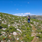 Trekking przez zielony płaskowyż Pulatkhan w górach Uzbekistanu