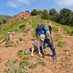 Spotkanie z psem pasterskim podczas trekkingu w Uzbekistanie