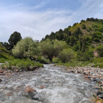 Górski potok w paśmie Tien-Szan podczas trekkingu w Uzbekistanie