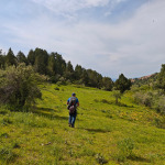 Trekking przez zieloną dolinę w górach Tien-Szan w Uzbekistanie