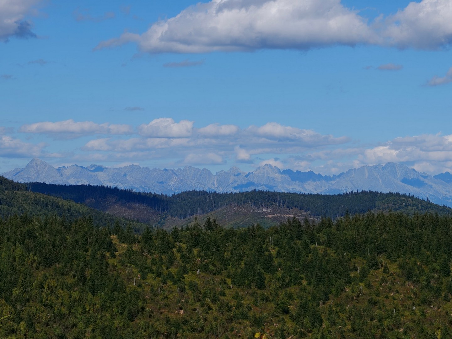 Panorama Tatr widoczna ponad pasem lasów i łagodnych grzbietów