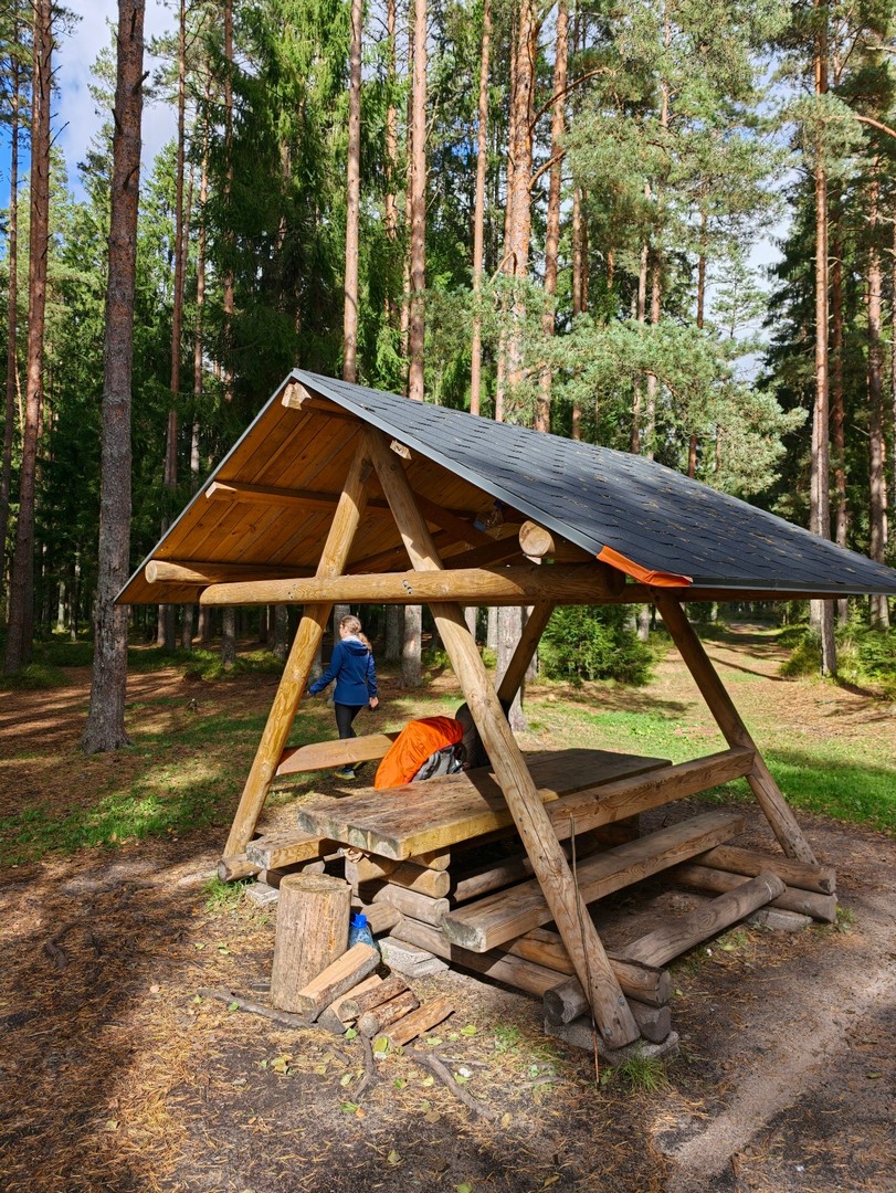 Drewniana wiata biwakowa w lesie nad jeziorem Pikkjärv na trasie trekkingowej w Estonii 