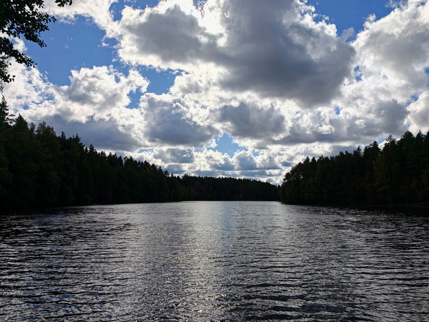 Widok na jezioro Pikkjärv otoczone lasem pod chmurzastym niebem w Estonii 