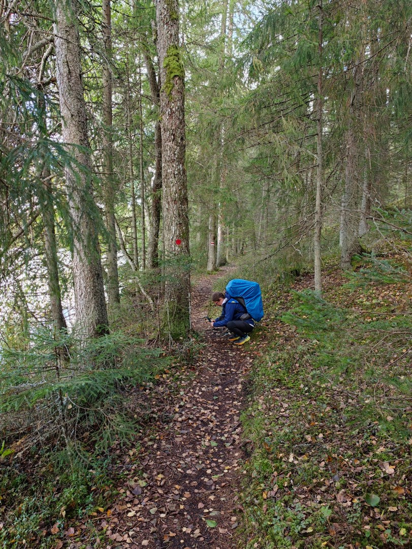 Turystka zatrzymująca się na leśnej ścieżce podczas trekkingu szlakiem Oandu–Aegviidu–Ikla 