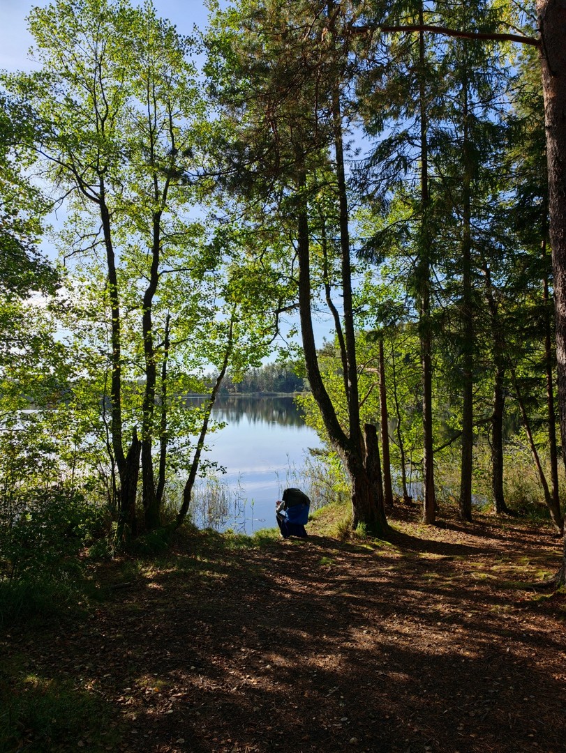 Turystka zatrzymująca się nad brzegiem leśnego jeziora podczas trekkingu w Estonii