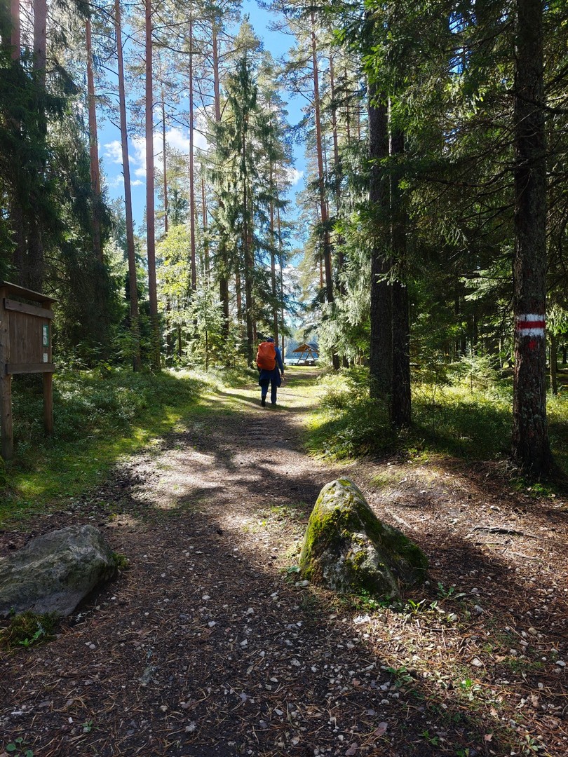 Leśna ścieżka prowadząca do miejsca biwakowego nad jeziorem Pikkjärv na szlaku Oandu–Aegviidu–Ikla w Estonii 
