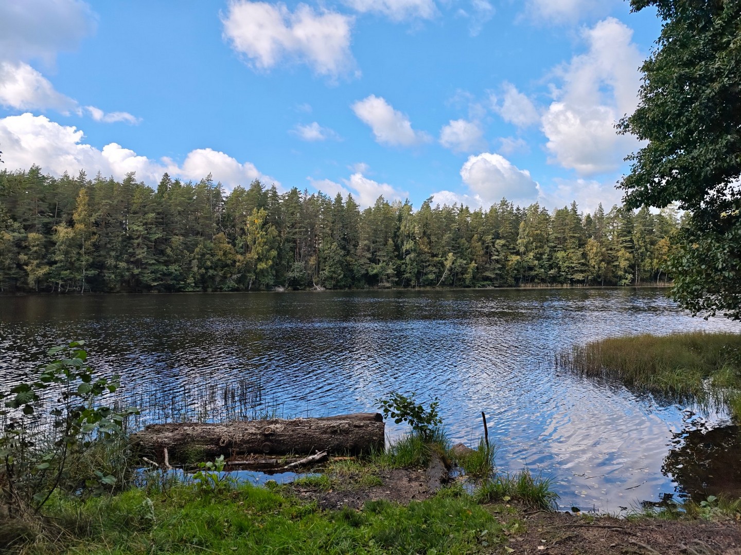 Leśne jezioro mijane podczas trekkingu szlakiem Oandu–Aegviidu–Ikla w Estonii