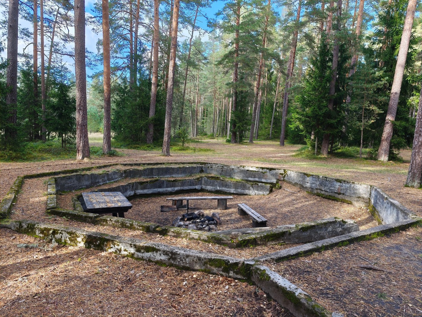Betonowe pozostałości dawnego obozu Koitjärve w lesie nad jeziorem Paukjärv w Estonii