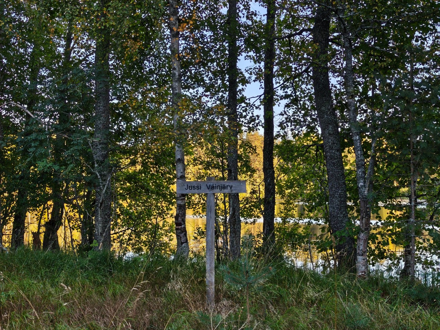 Drewniana tablica Jussi Vainjärv przy jeziorze i szlaku trekkingowym w Estonii