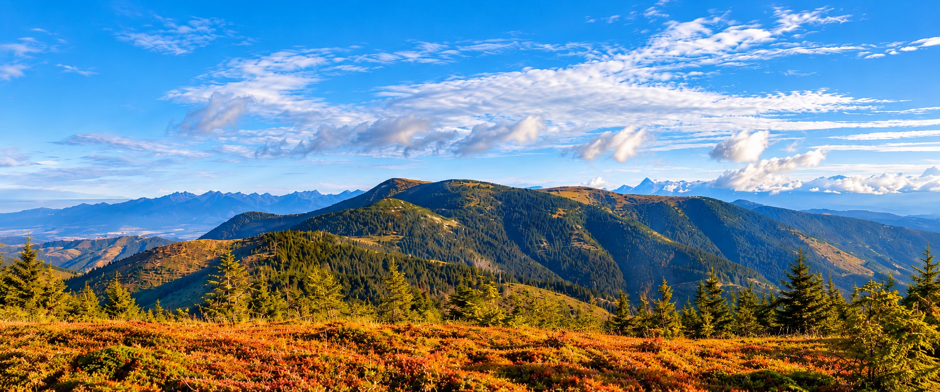 Trekking w Niżnych Tatrach – panorama górskiego grzbietu